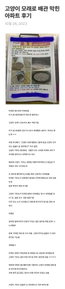 고양이 모래로 배관 막힌 아파트