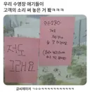아이들이 수영장에 써 놓은 고객의 소리