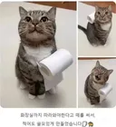 화장실 따라오겠다 떼쓰는 냥이를 쓸모있게 만듦