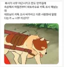 어느 중소기업 직원의 카톡프사