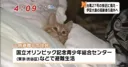 태풍 때문에 임시 대피소로 대피한 주민의 모습