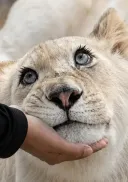 대구 동물원 근황.gif