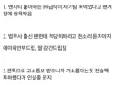 법무사에게 할카스 박은 중딩의 최후 .jpg