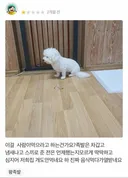 족발집 리뷰 레전드