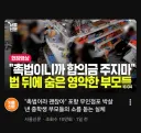 촉법소년 최신 근황 - 애들은 역시 어른들의 거울임