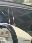 19금) 파리