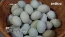 완전 동물복지 중국 닭 사육장