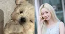 윈터, 사연 있는 유기견 입양