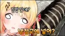 버튜버) 썸네일 이러면 좀 너무한가?