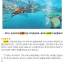 몬헌) 이제보니까 대놓고 구라까지 쳤네