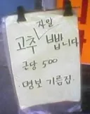 명보가 전술은 없어도