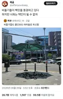 대환장의 브라질의 한국인 인종차별사건 근황