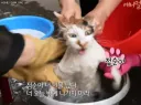 김남준 디렉터님 꼭봐주세요..