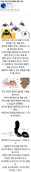 대학원 다니다가 정신이 이상해진 디시인