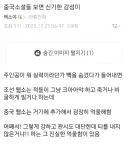 중국 웹소에서는 힘숨찐 하면 반응이 다름
