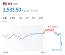 환율 대 폭 락