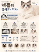 렉돌의 유래와 역사