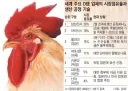 의외로 마이크론을 살린 기업