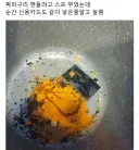 너구리에 들어있는 신용카드.🦝