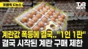 지금 이 시각 홍명보 감독이 좋아할만한 뉴스