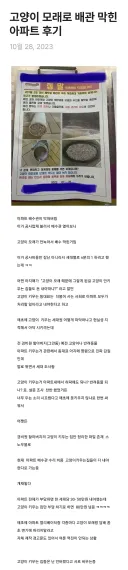 고전) ? : 더불어 사는 사회인데 서로 n빵해요!