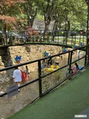 계곡 백숙의 계절이네요