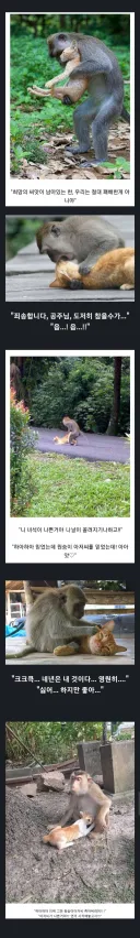 오타쿠가 약한 클리셰