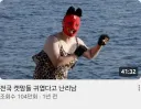 전국 캣맘들 귀엽다고 난리남