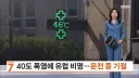 유럽녀석들아 여름 맛을 조금은 알겠느냐?