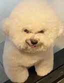 고딩 조카: 삼촌 요즘 군대는 월급 200이래, 부럽지?