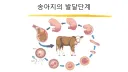 한때 배양육이 가지고 있던 치명적인 모순점