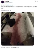 친구가 와인을 쏟아서 이걸 급하게 청소해야해요.jpg