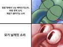 오히려 날이 더우면 안보이는 새뀌