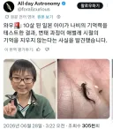 일본 초등학생 근황.jpg