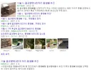 2017년 당시, 서울시 냥이들 단체 고자화