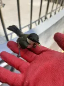 이새기 뭐냐?
