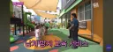 어린이집 납치방지 교육 특
