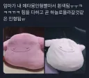 인형 함부로 빨면 안 되는 이유