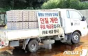 홍명보 입국 환영 무료 계란 배급 중