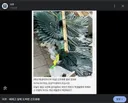 배재고 및 배재고 야구부 근황