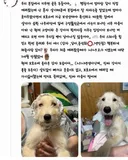 주인이 유기견이라고 거짓 신고해 결국 보호소에서 안락사 당한 강아지 감자.jpg