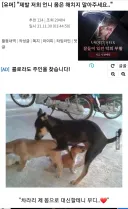 ???:제발 저희 언니를 헤치지 말아주세요