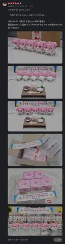 Doro) 흔한 도로롱 피규어 구매후기
