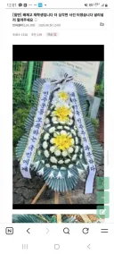 어제자 배재고