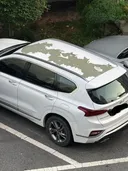 염병 현대차