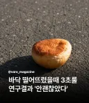 3초룰 충격적인사실이 밝혀짐