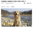 옷 안입고 강에 간 로리