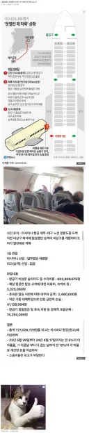 아시아나 문 개방사건 판결