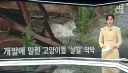 조금 전 JTBC 근황