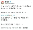 이거 먹는건가 싶은 재료들의 식용여부 판단 방법